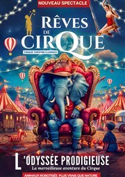 REVE DE CIRQUE